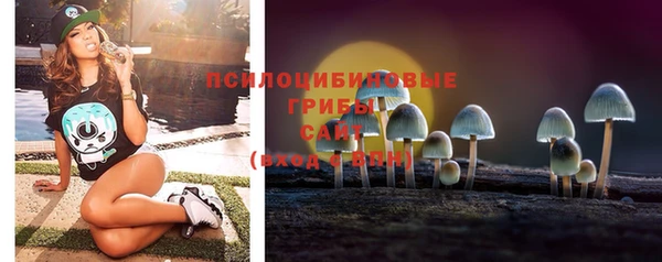 ешки Вязьма