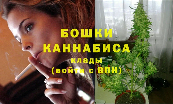 СК Вяземский