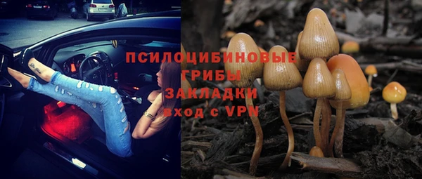 ешки Вязьма